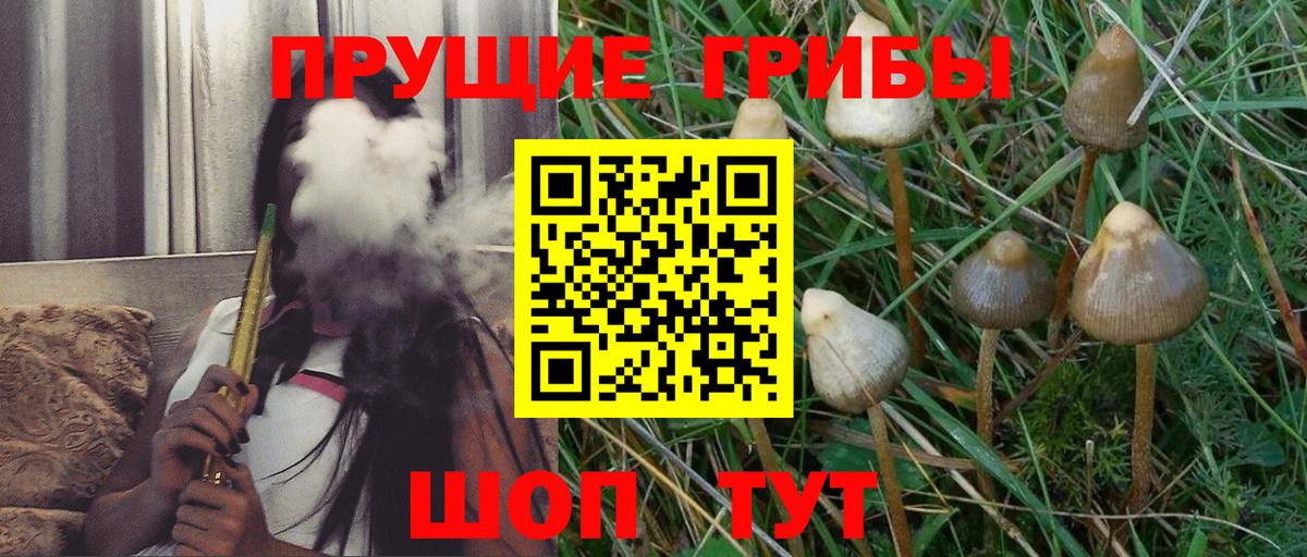 купить наркотики сайты  Псилоцибиновые грибы Psilocybe  Вход с VPN  Вятские Поляны 
