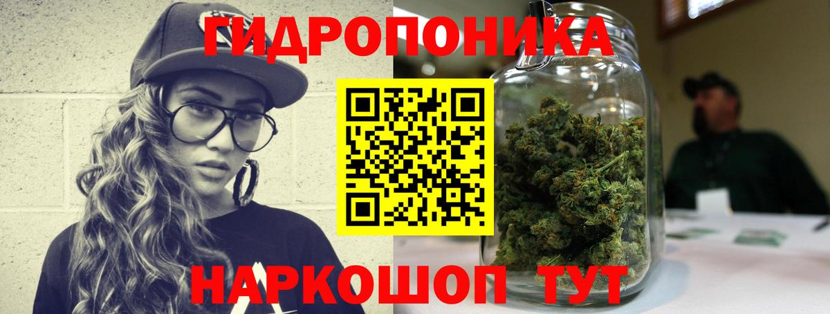 Конопля гибрид  Канабис планчик  Вход с VPN  Вятские Поляны  Бошки Шишки конопля 